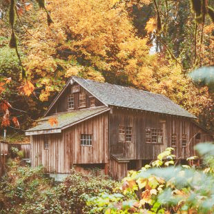 Stock photo of a rustic wooden cabin in an autumnal wood.